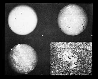 Illustration for article titled This awesome image may be found by aliens one day, floating in space